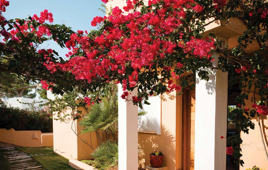 Rental of private luxury villas in Ibiza. Villa Mercedes. VIP services in Ibiza. Consulting Services Ibiza-6